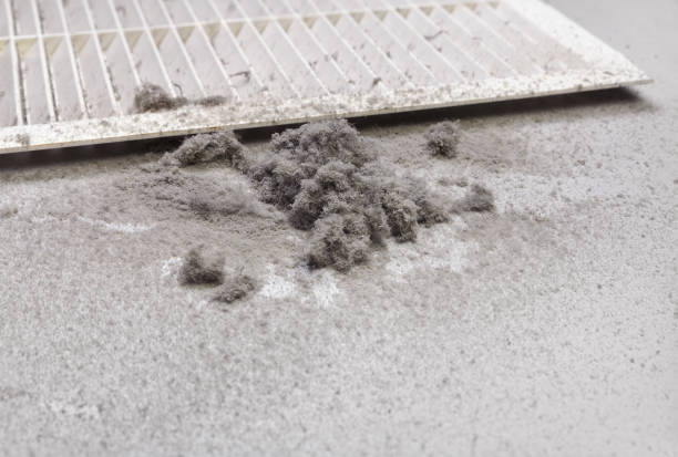 Best Air Duct Cleaning Near Me  in Pottsboro, TX