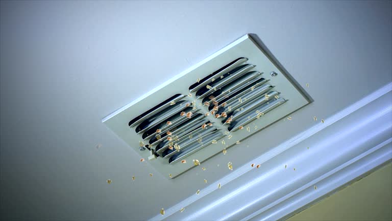 Best Air Duct Cleaning Company Near Me  in Pottsboro, TX